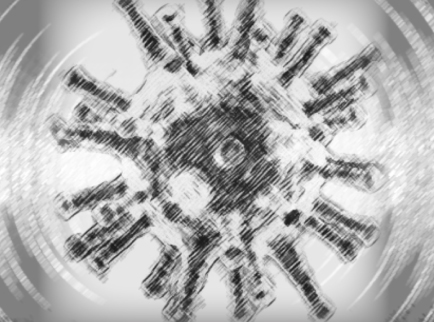 viru virus