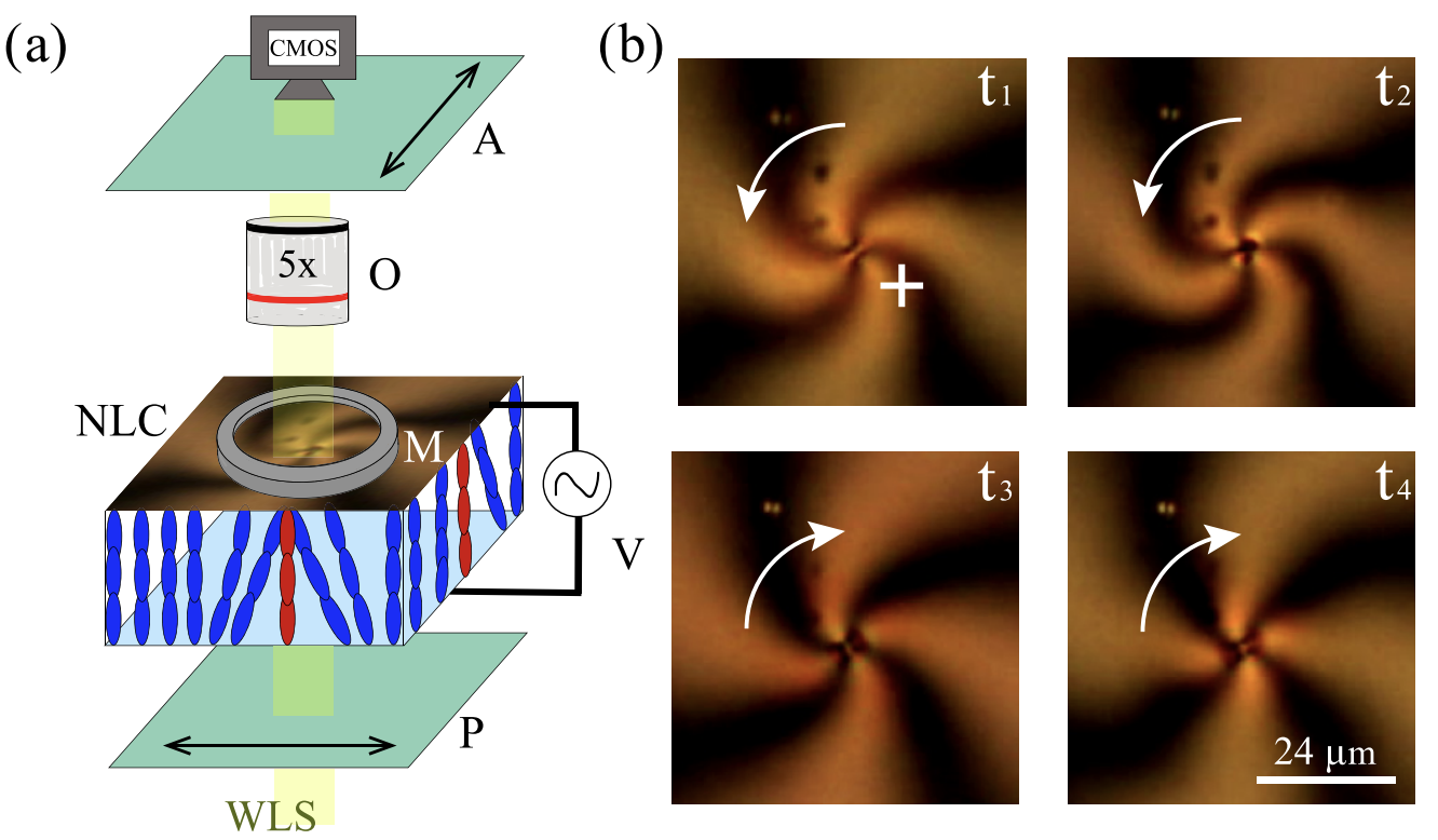 Liquid crystals Cells