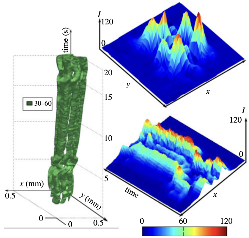 Liquid Crystal Light Valve