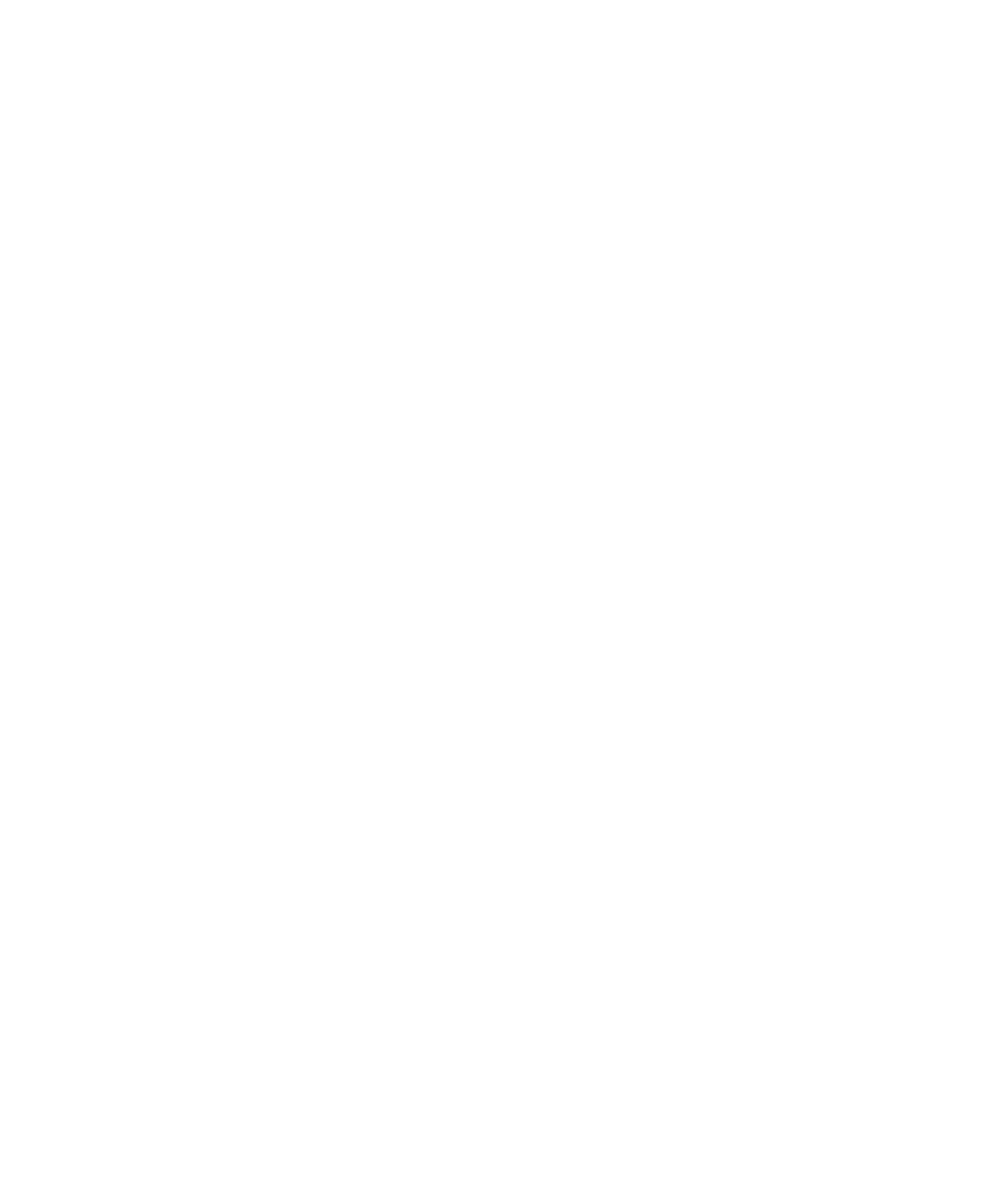 LAFER logo