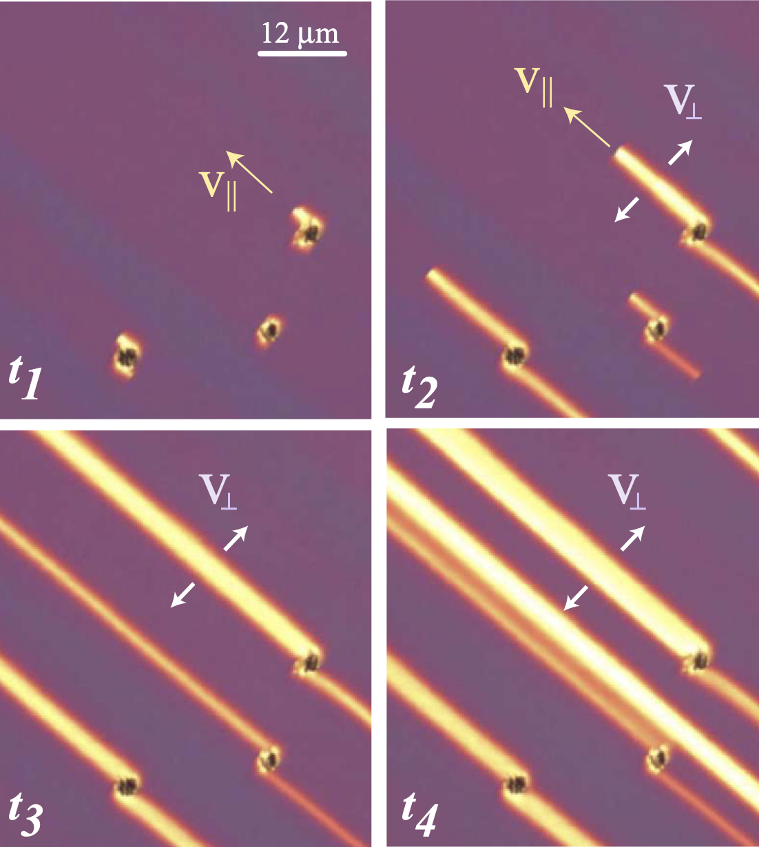 Smectic Liquid Crystals