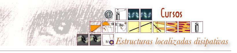 Disipative Localized states